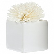 Goatier Cube en Cramique Blanc pour Fleur de Goatier 80 ml
