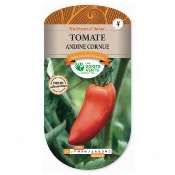 Graines Tomate Andine Cornue