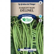 Graines Haricot Nain Dlinel 250gr, Les Doigts Verts