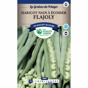 Graines Haricot Nain  Ecosser Flajoly 250gr - Les Doigts Verts