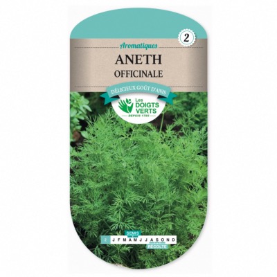 Graines Aneth Officinale - Les Doigts Verts
