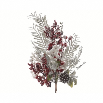 Branche de Sapin enneigée avec différentes baies rouges