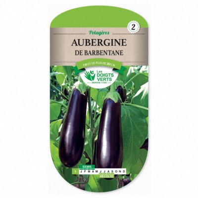 Graines Aubergine Barbentane - Les Doigts Verts