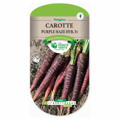 Graines Carotte Purple Haze Hub F1 - Les Doigts Verts