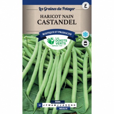 Graines Haricot Nain Castandel 50G - Les Doigts Verts