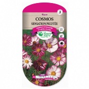 Graines Cosmos Sensation Picote - Les Doigts Verts