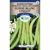 Graines Haricot Nain  Ecosser Suisse Blanc Lingot 250gr - Les Doigts Verts