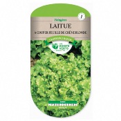 Graines Laitue  Couper Feuille de Chne Blonde - Les Doigts Verts