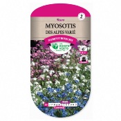 Graines Myosotis Des Alpes Vari - Les Doigts Verts