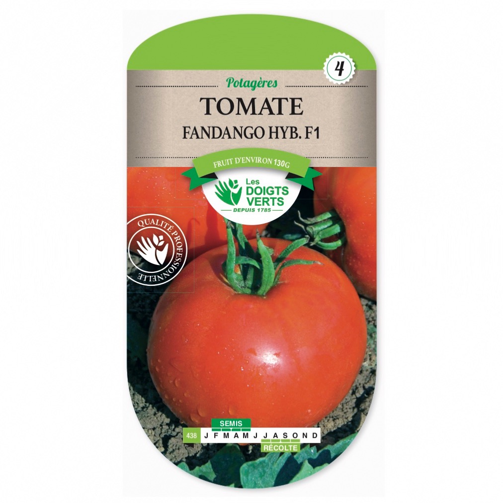 Graines de Tomate Fandango Hyb F1