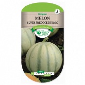 Graines Melon Super Précoce du Roc - Les Doigts Verts