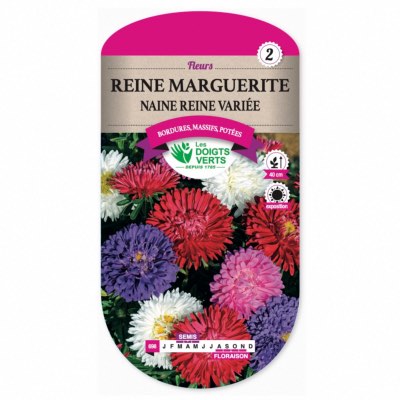 Graines Reine Marguerite Naine Reine Variée - Les Doigts Verts