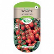 Graines Tomate Apéro - Les Doigts Verts