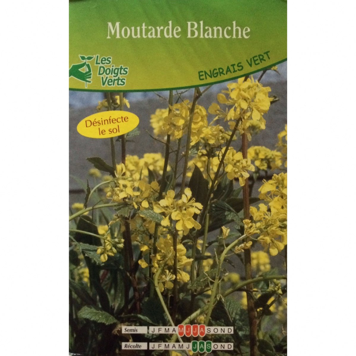 Graines de Moutarde blanche - Engrais vert 500gr