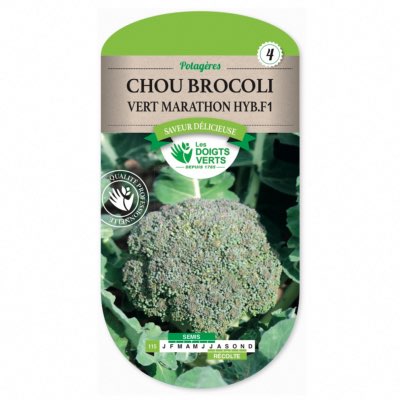 Graines Chou Brocoli Vert Marathon HYB.F1