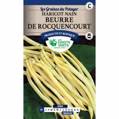 Graines Haricot Nain Beurre de Rocquencourt 250gr - Les Doigts Verts