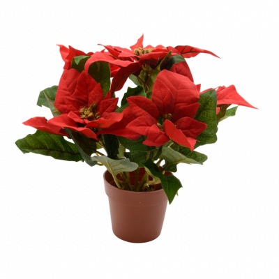 Poinsettia Artificiel en Soie Dans un Pot - Décoris