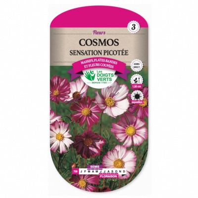 Graines Cosmos Sensation Picotée - Les Doigts Verts