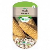 Graines Maïs Pop Corn - Les Doigts Verts