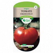 Graines Tomate Ferline - Les Doigts Verts