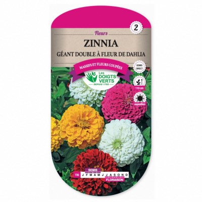 Graines Zinnia Géant Double à Fleur de Dahlia - Les Doigts Verts