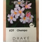 Pastille Parfume DRAKE Pour Brle Parfum Senteur Champa