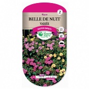 Graines Belle De Nuit Varie - Les Doigts Verts