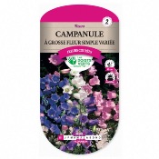 Graines Fleur Campanule  Grosse Fleur Simple Varie - Les Doigts Verts