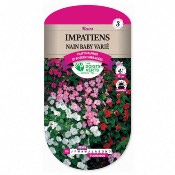 Graines Impatiens Nain Baby Vari - Les Doigts Verts