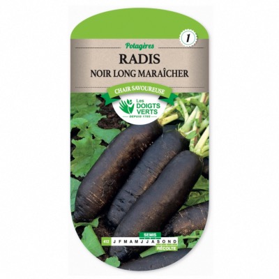 Graines Radis Noir Long Maraîcher - Les Doigts Verts