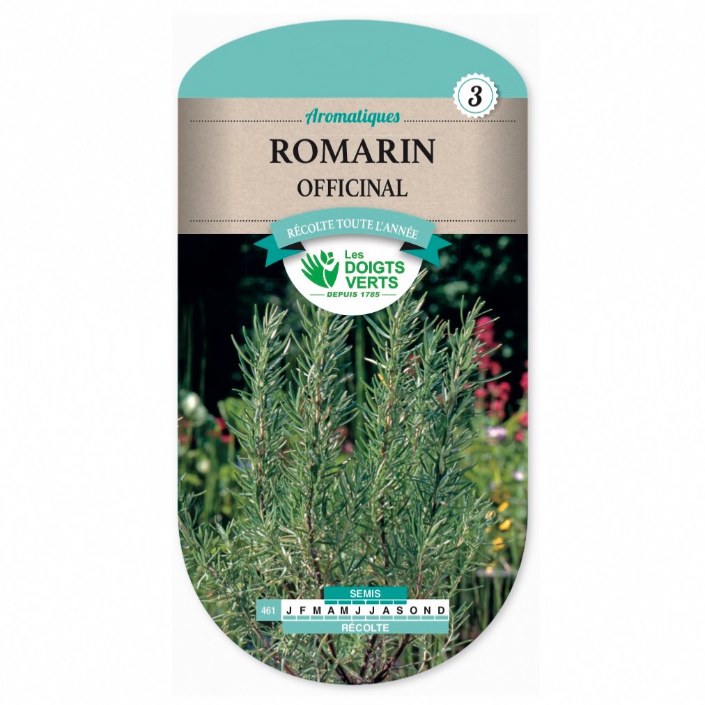 Graines de Romarin officinal – Plante vivace aromatique incontournable!