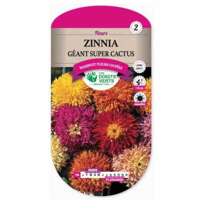 Graines Zinnia Géant Super Cactus - Les Doigts Verts