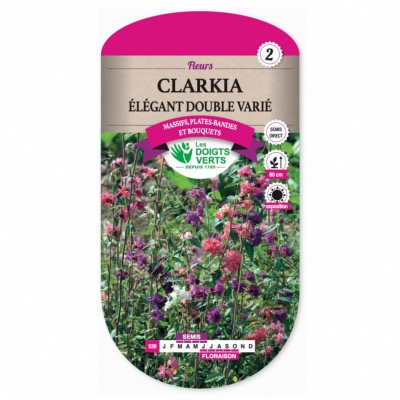 Graine Clarkia Elégant Double Varié - Les Doigts Verts