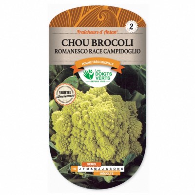 Graines Chou Brocoli Romanesco Variété Ancienne - Les Doigts Verts