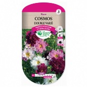 Graines Cosmos Double Vari - Les Doigts Verts