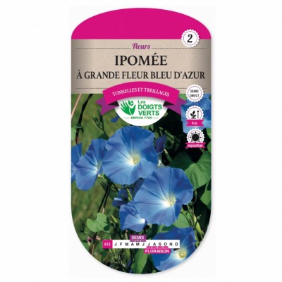 Graines Ipomée à Grande Fleur Bleu d’Azur - Les Doigts Verts