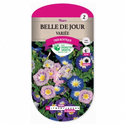 Graines Belle de Jour | CK Jardin & Maison