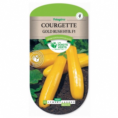 Graines Courgette Gold Rush Hyb F1 - Les Doigts Verts