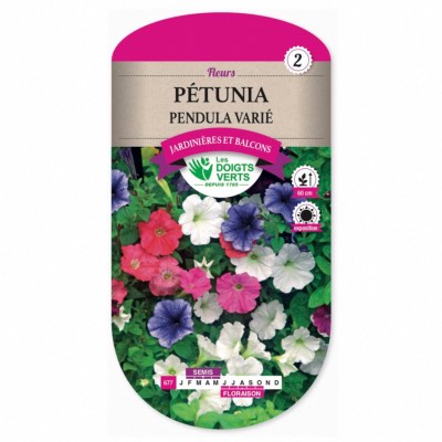 Graines Pétunia Pendula Varié - Les Doigts Verts