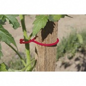 Clips Tomates Tomatoclips sachet de 25 - Nortne