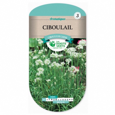 Graines Ciboulail - Les Doigts Verts