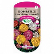 Graines Immortelle  Bractes Double Varie - Les Doigts Verts