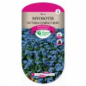 Graines Myosotis Victoria Compact Bleu, Les Doigts Verts