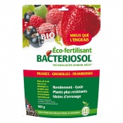 Fertilisant Bacteriosol Fraises, Groseilles, Framboises 500gr - Sobac