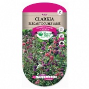 Graine Clarkia Elgant Double Vari - Les Doigts Verts