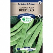 Graines Haricot Nain Mangetout Bredero 250g - Les Doigts Verts