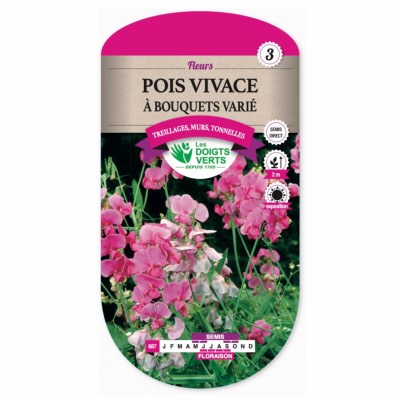 Graines Pois Vivace à Bouquets Varié - Les Doigts Verts