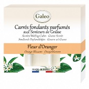 Carrés Fondants Parfumés Fleurs d'Oranger - GALEO