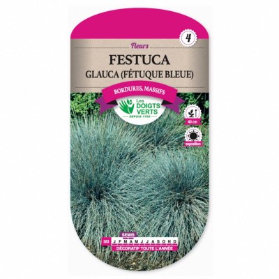 Graines Festuca Glauca - Fétuque Bleue - Les Doigts Verts