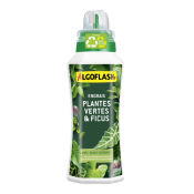 Engrais Plantes vertes et Ficus Algoflash 500 ml